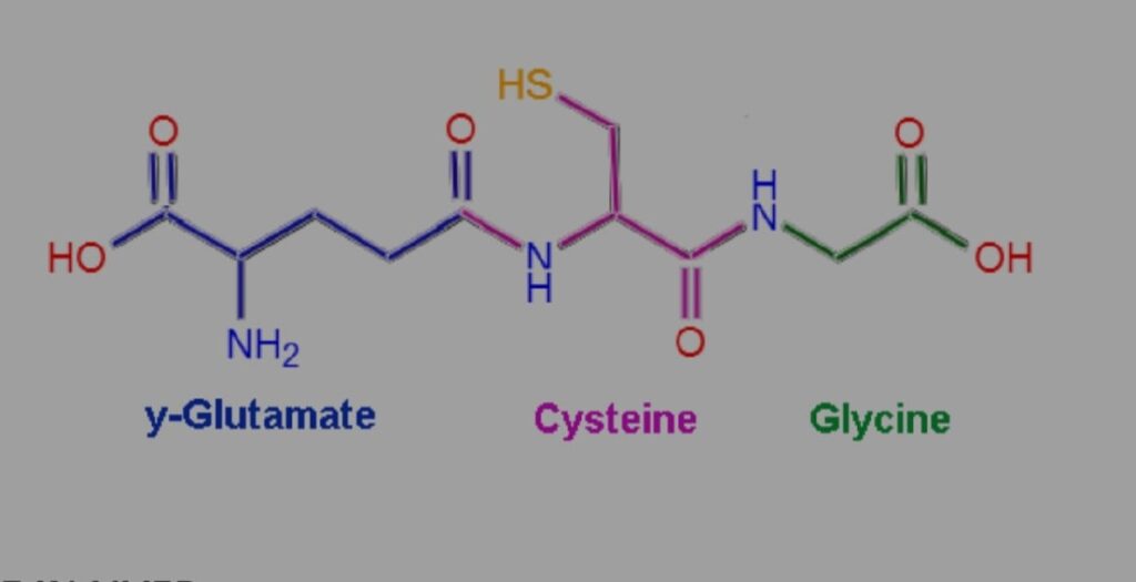 Glutathione